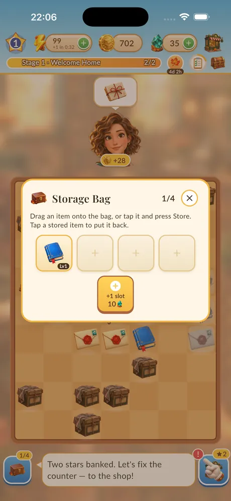 The storage bag